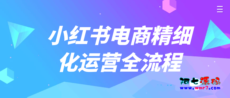 小红书电商精细化运营全流程--建站源码_小程序源码_主题模板下载阿七源码